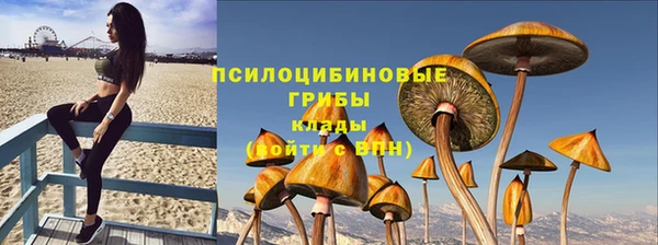 прущие грибы Семёнов