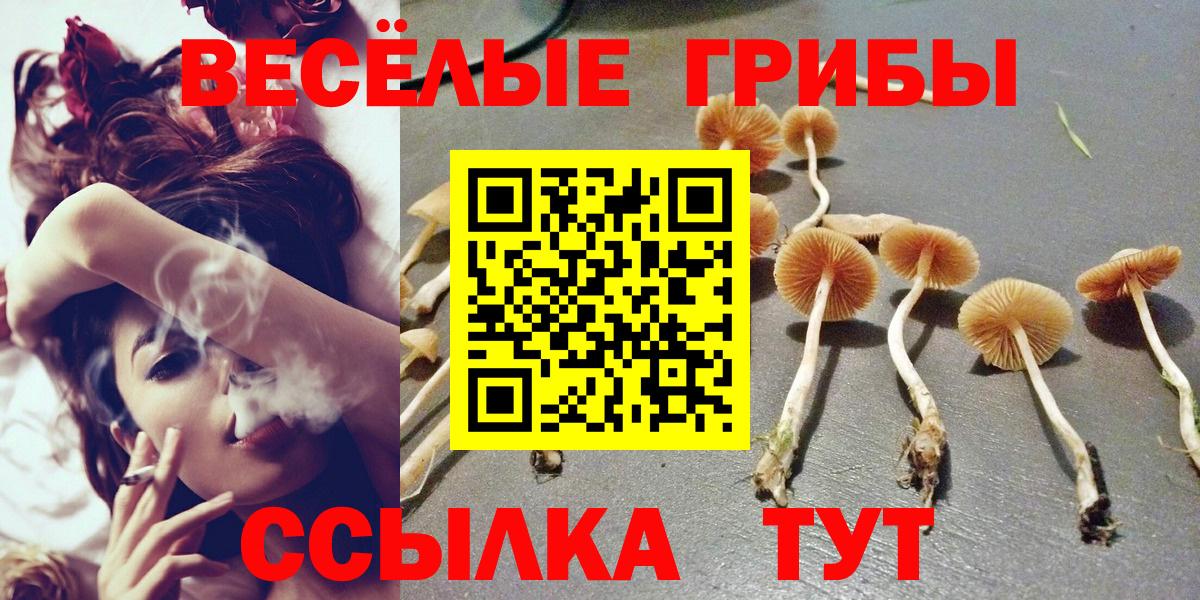 Псилоцибиновые грибы Psilocybe Глазов