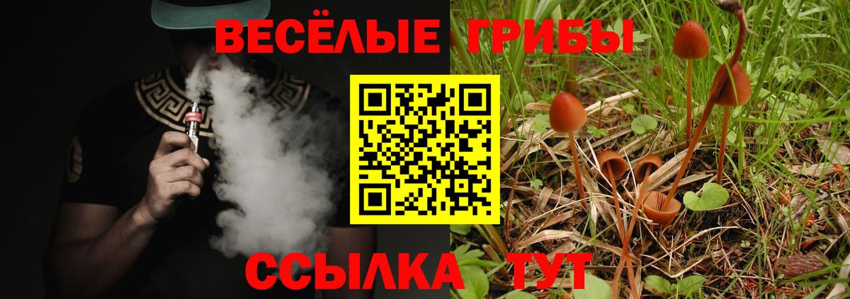Конопля Глазов