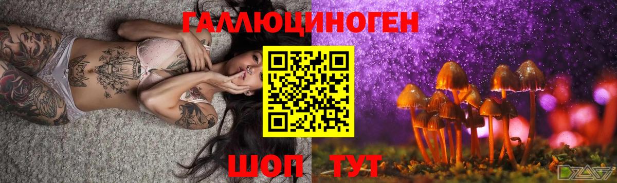 Глазов  Псилоцибиновые грибы Magic Shrooms  купить закладку  Вход с VPN 