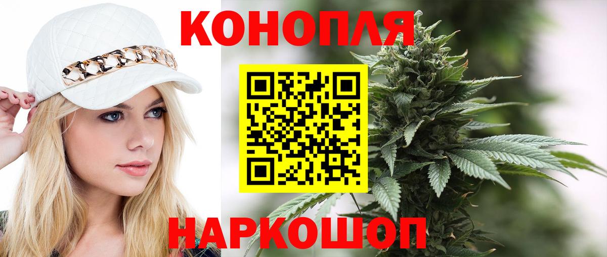 Конопля индика Глазов